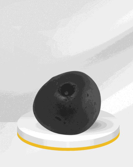 devi shaligram