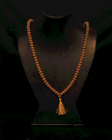 Rudraksha Pathri/Chikna Mala (Java) (8-12mm)