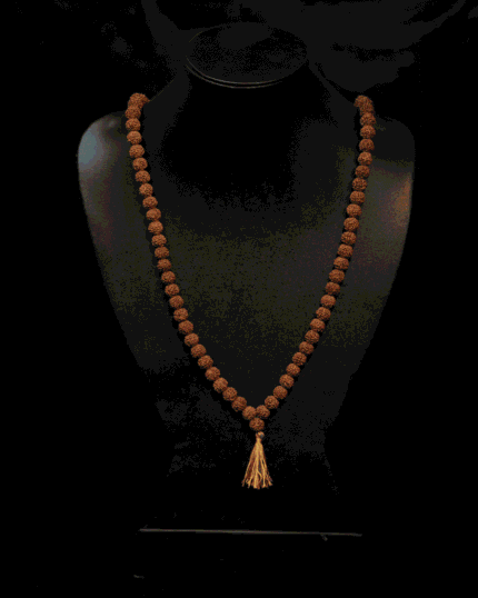 6 Mukhi Rudraksha Mala (Java) (8mm-12mm)
