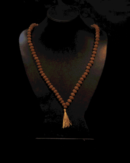 7 Mukhi Rudraksha Mala (Java) (8mm-12mm)
