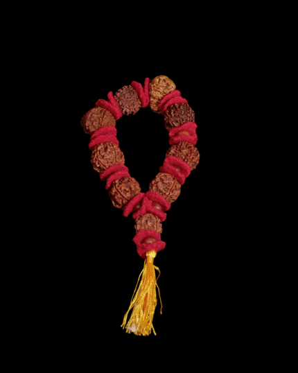 Rudraksha Navgraha Kavach (3-11 Mukhi)