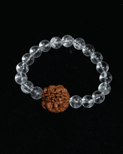 3 Mukhi Rudraksha in Sphatik Bracelet