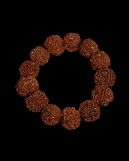 5 Mukhi Rudraksha Bracelet (Nepali 22mm)