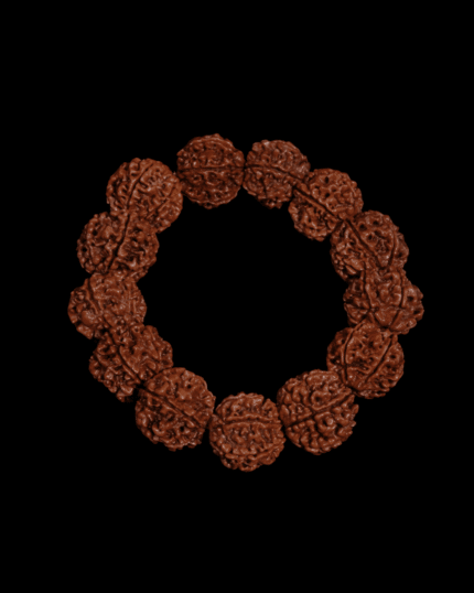 6 Mukhi Rudraksha Bracelet (Nepali 22mm)