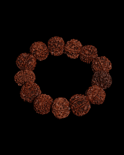 7 Mukhi Rudraksha Bracelet (Nepali 22mm)